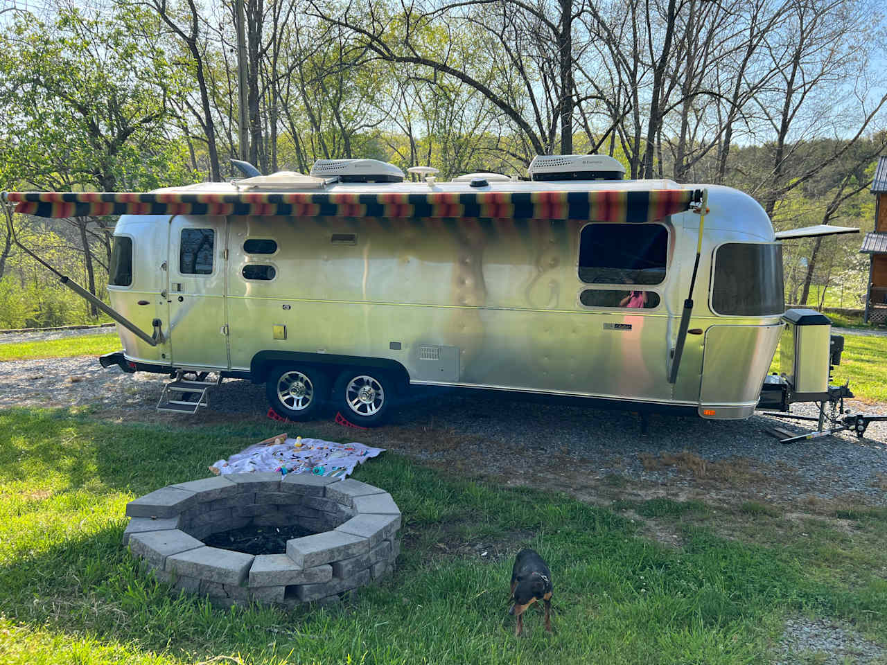 RV site on a Black Walnut Farm