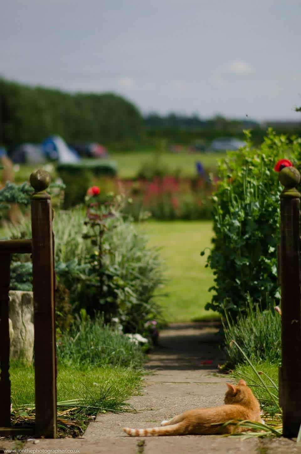 Four Winds Camping and Canoeing