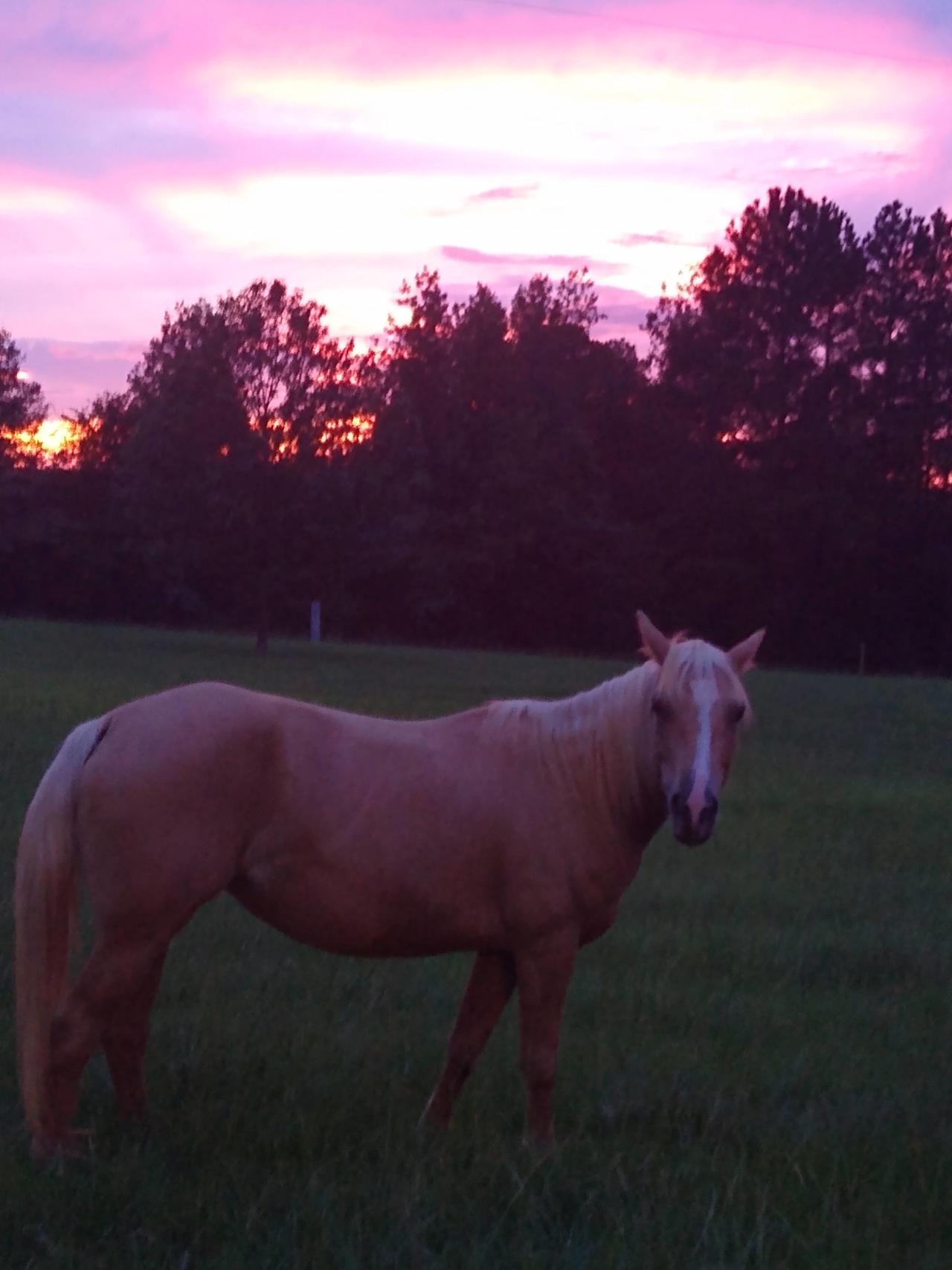 Rockwood Farm