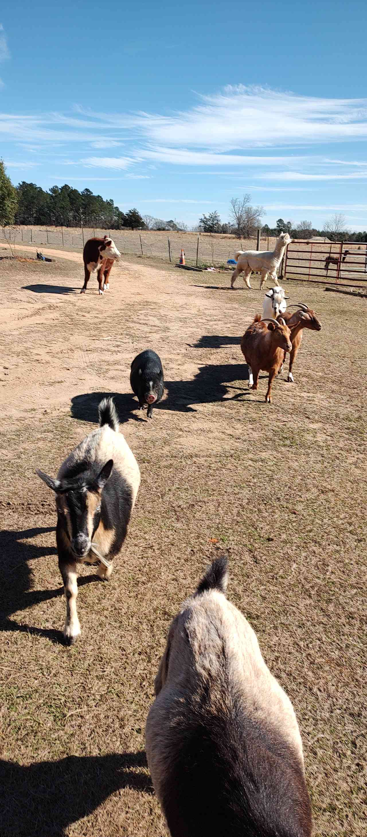 Rockwood Farm