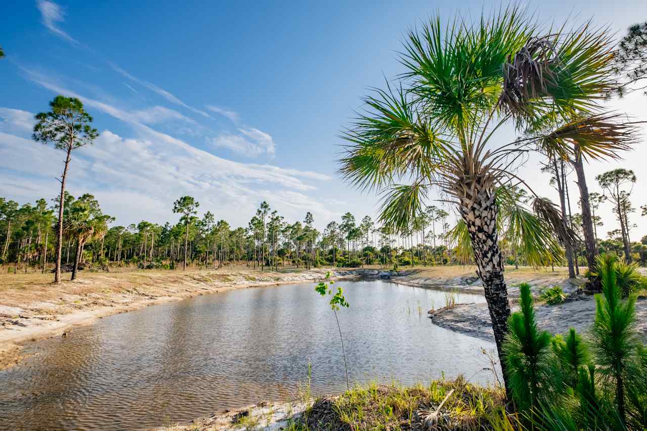 View of pond