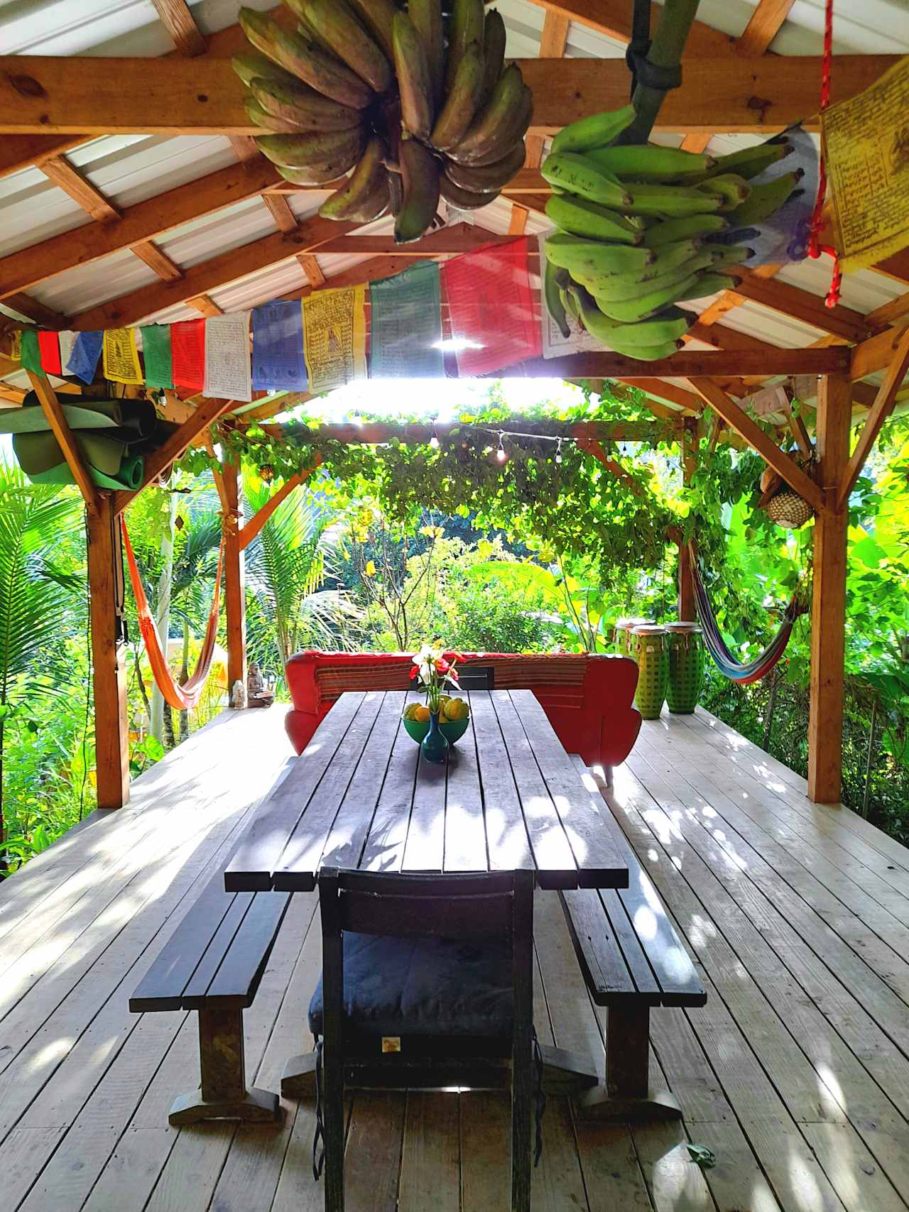 Finca Remedio Permaculture Farm