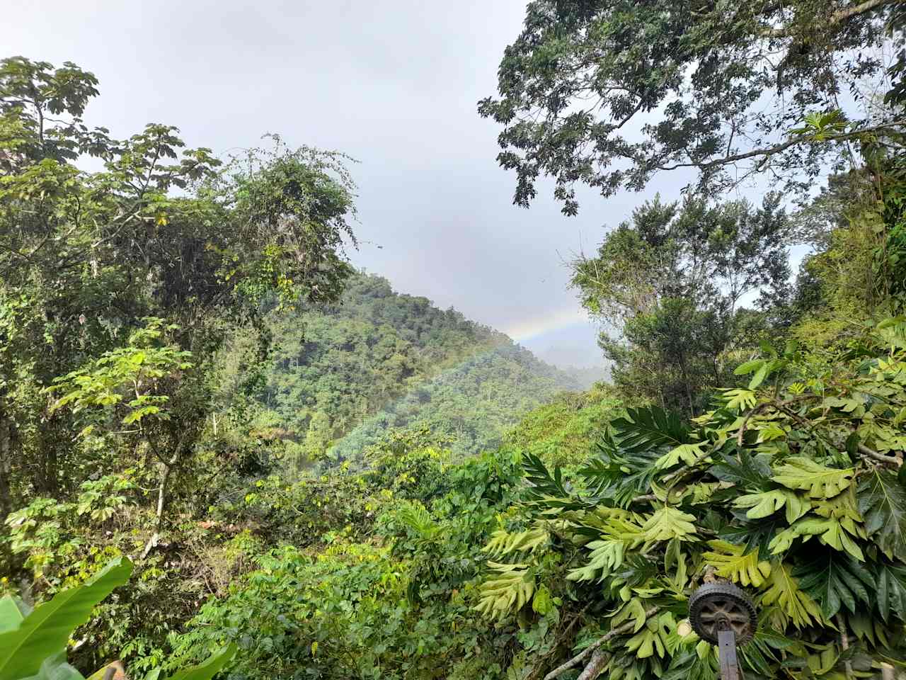 Finca Remedio Permaculture Farm