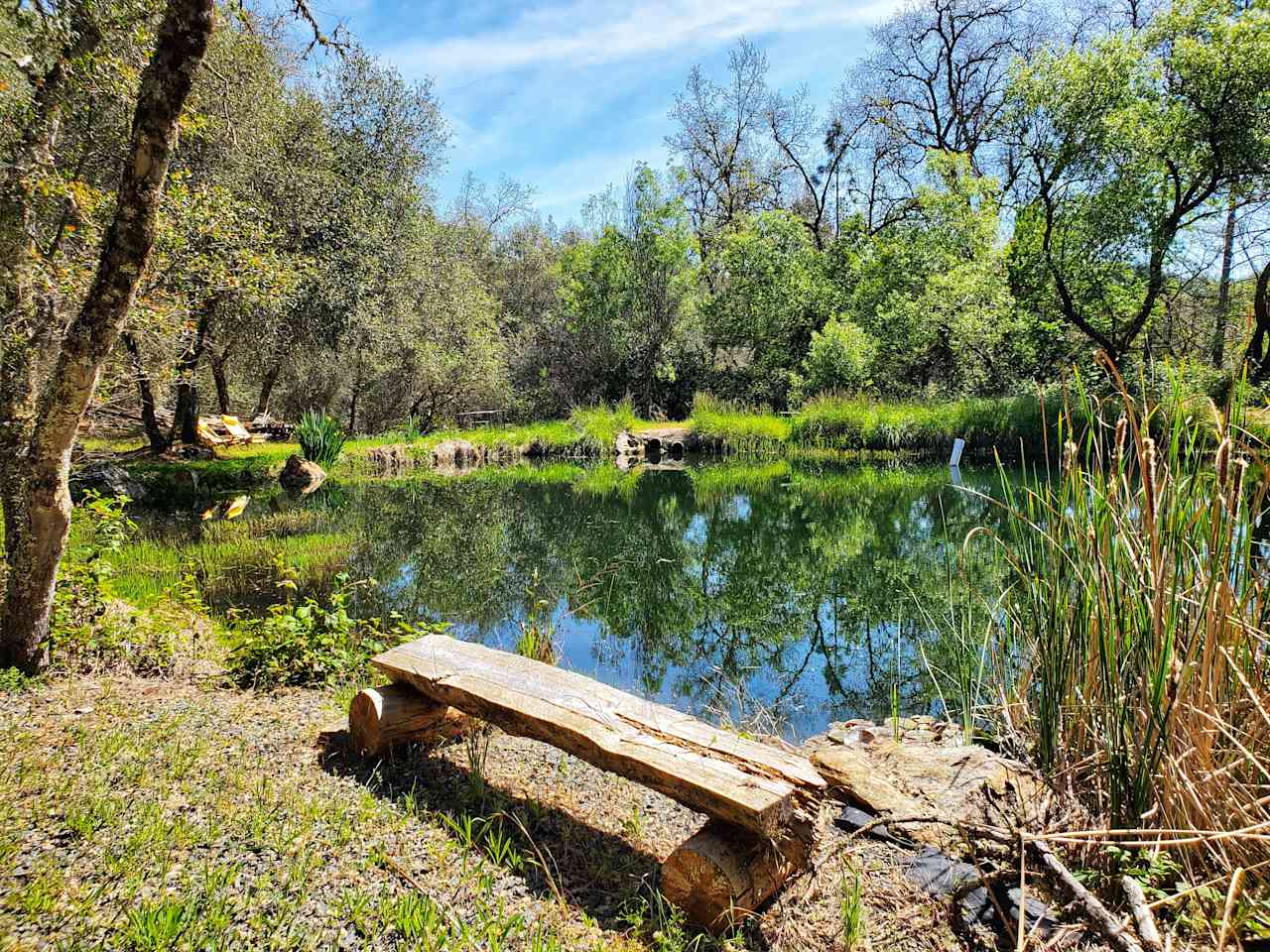 Peaceful Pond Retreat