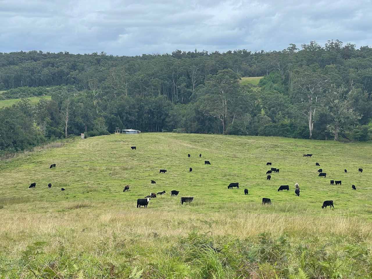 River Run Farm