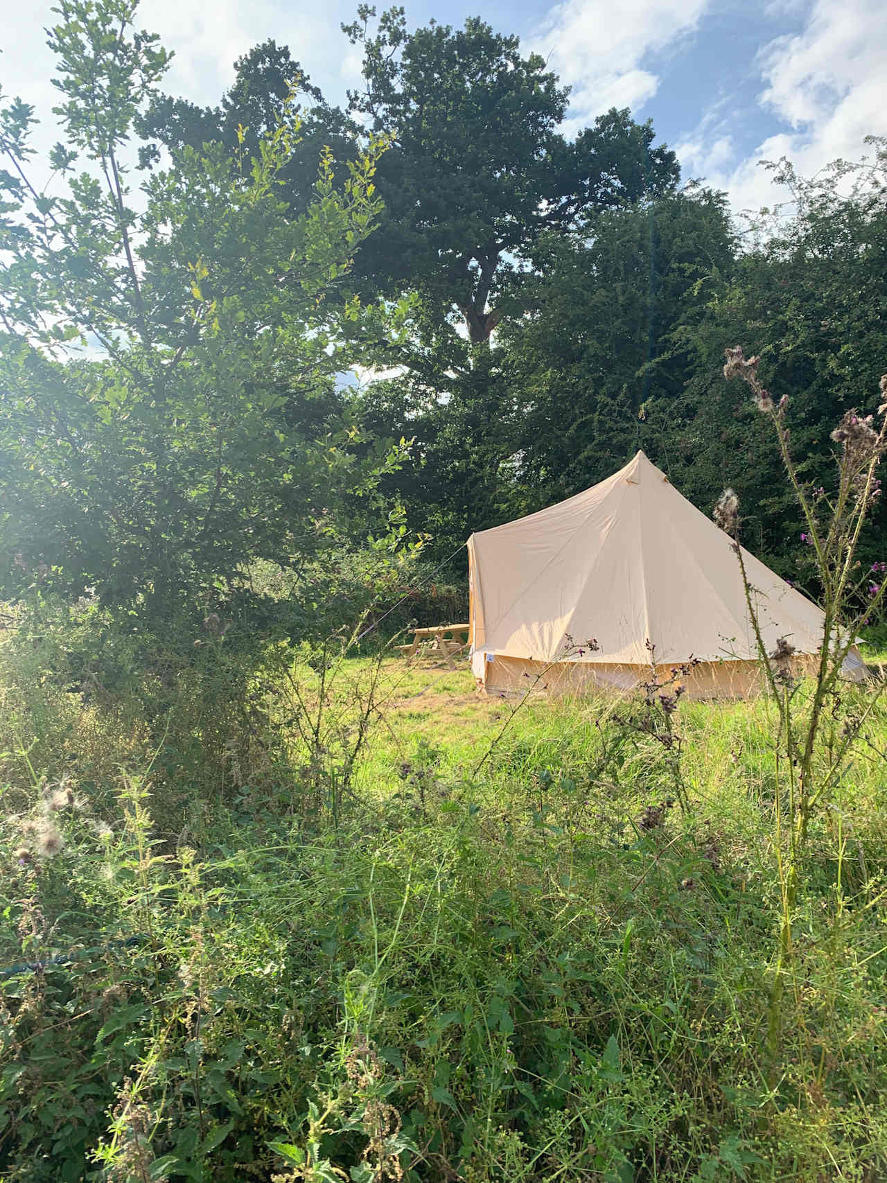 Archer’s Field