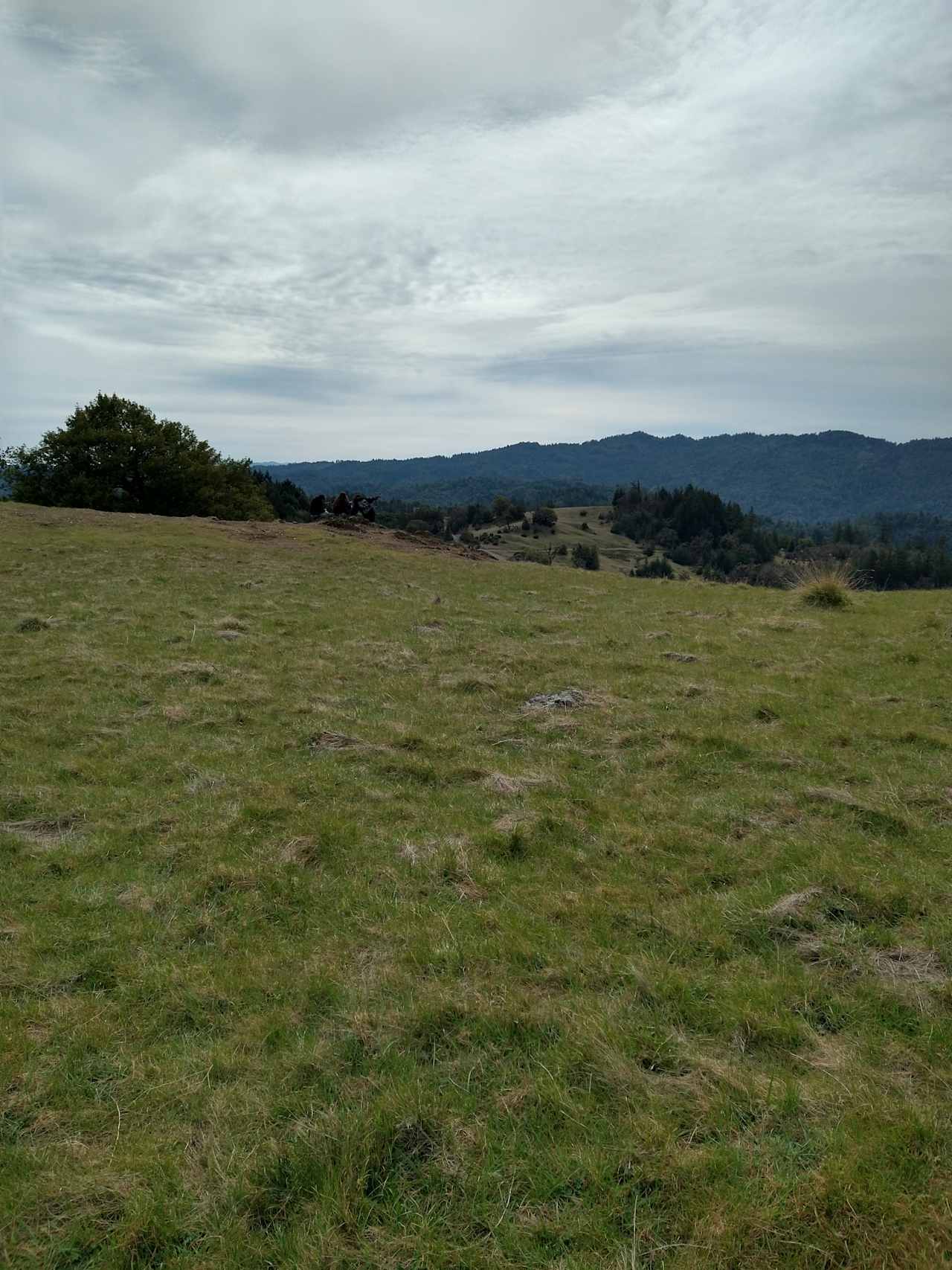 Red Wing Ranch