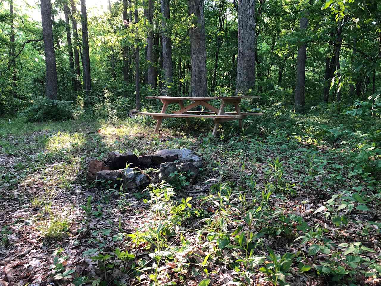 Outdoorsy - Camp Wood in Oak Outdoorsy - Camp Wood in Oak