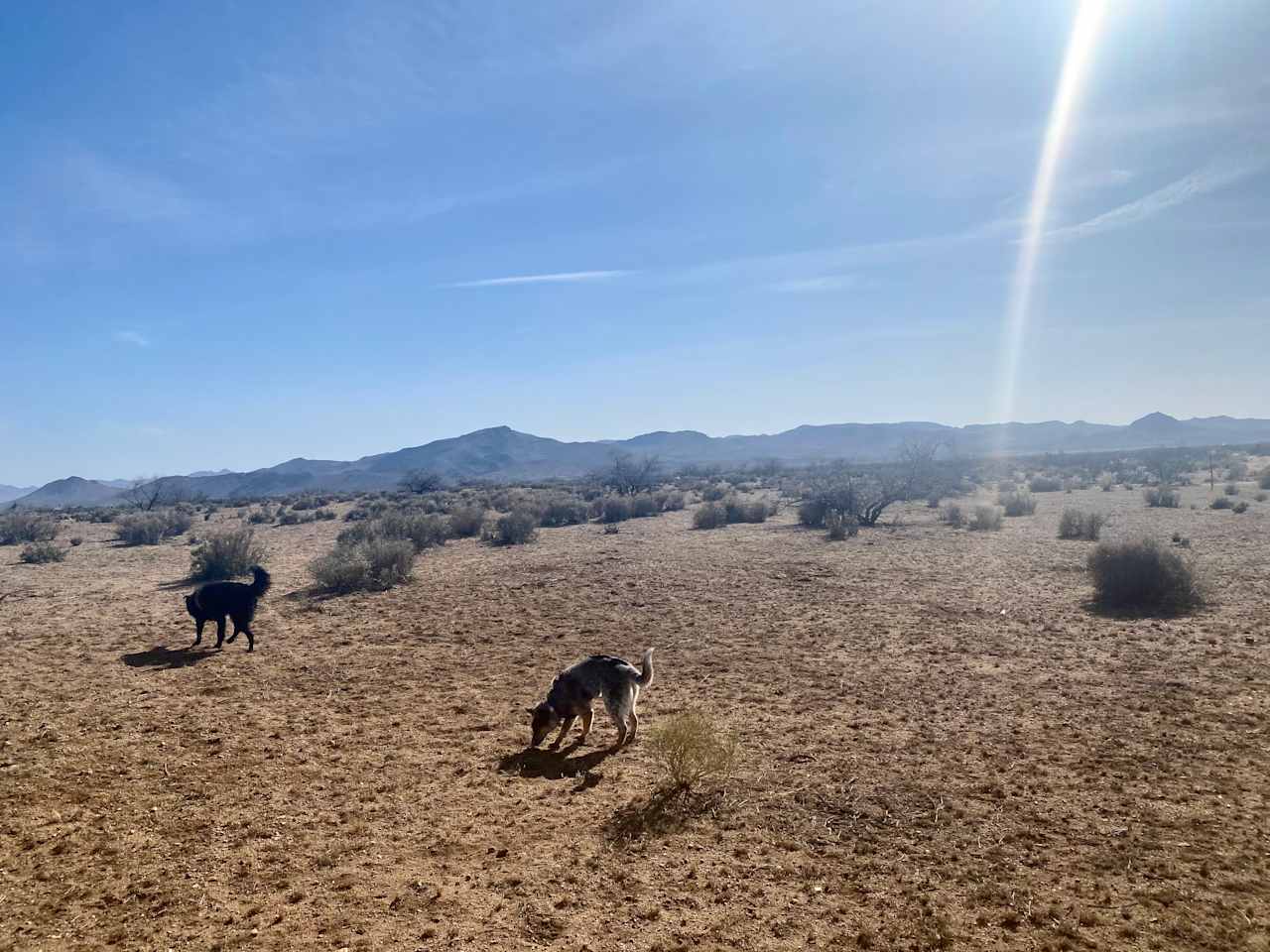 Rollo Ranch
