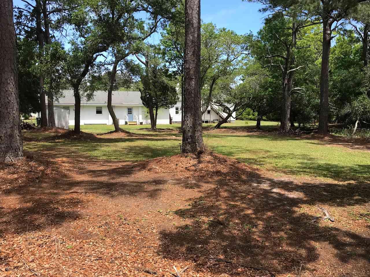 The Crystal Coast Preserve!