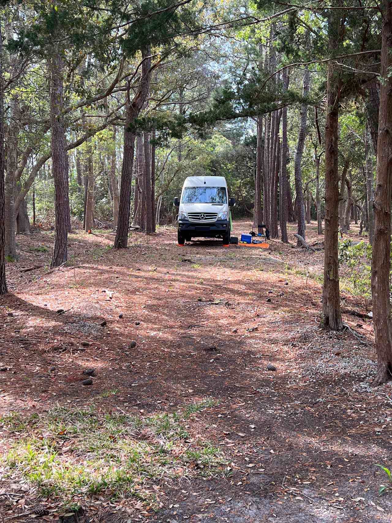 The Crystal Coast Preserve!