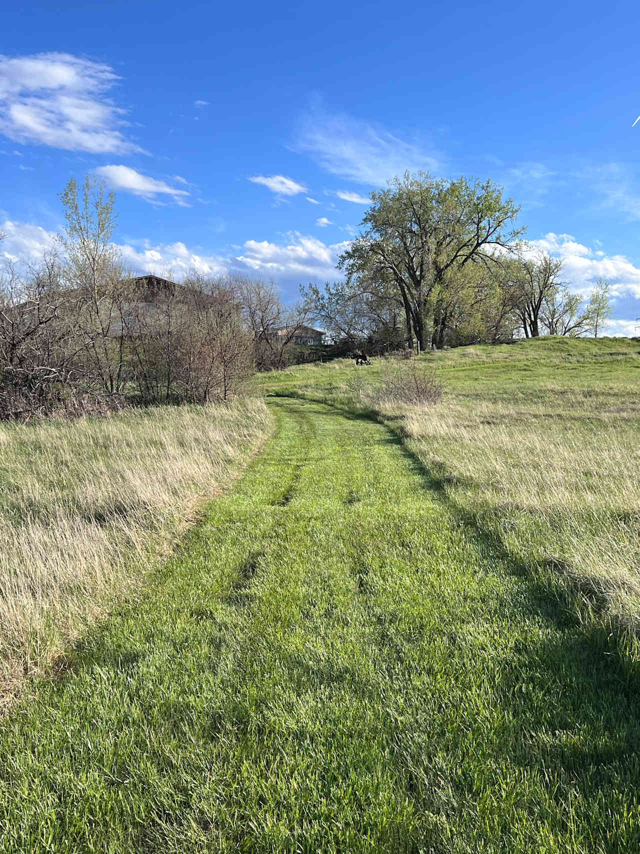 Creekside Camp at Prairie Skies