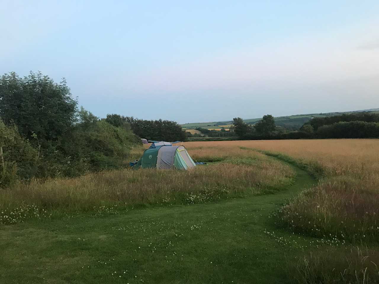 South Town Farm
