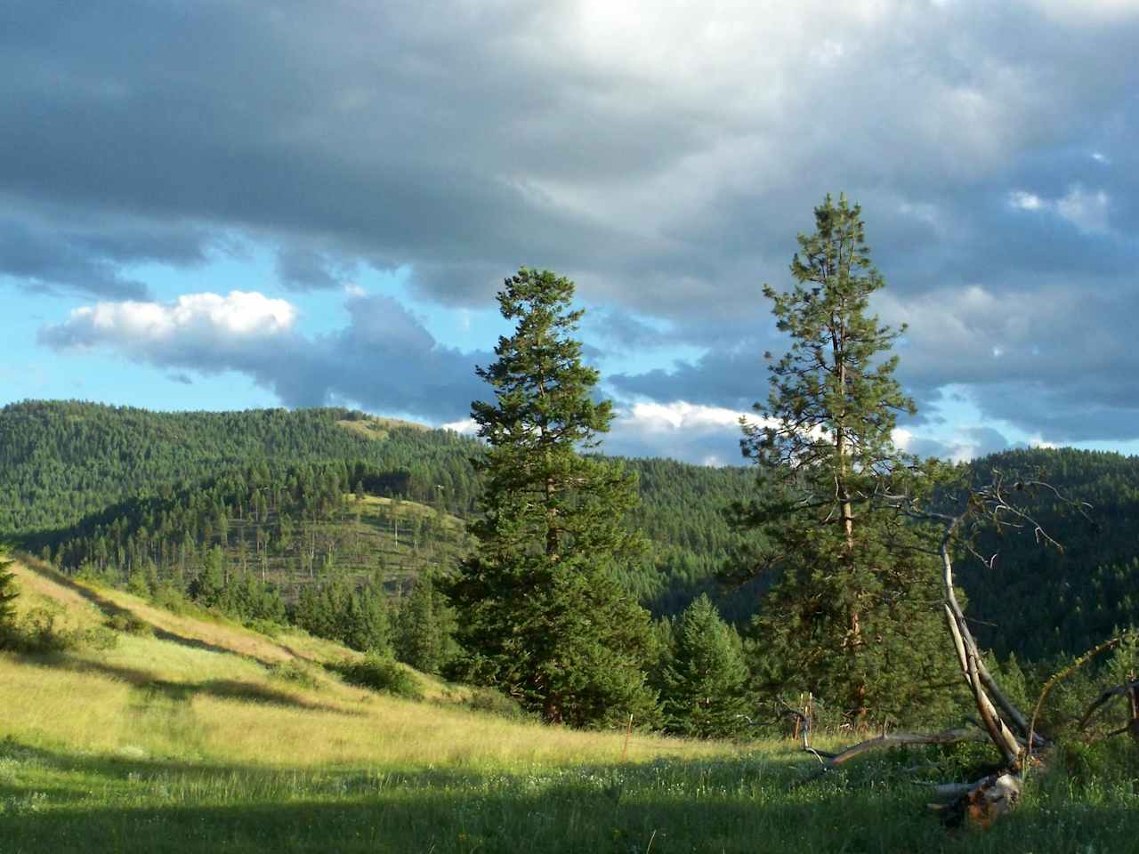 Highland Glenn Ranch