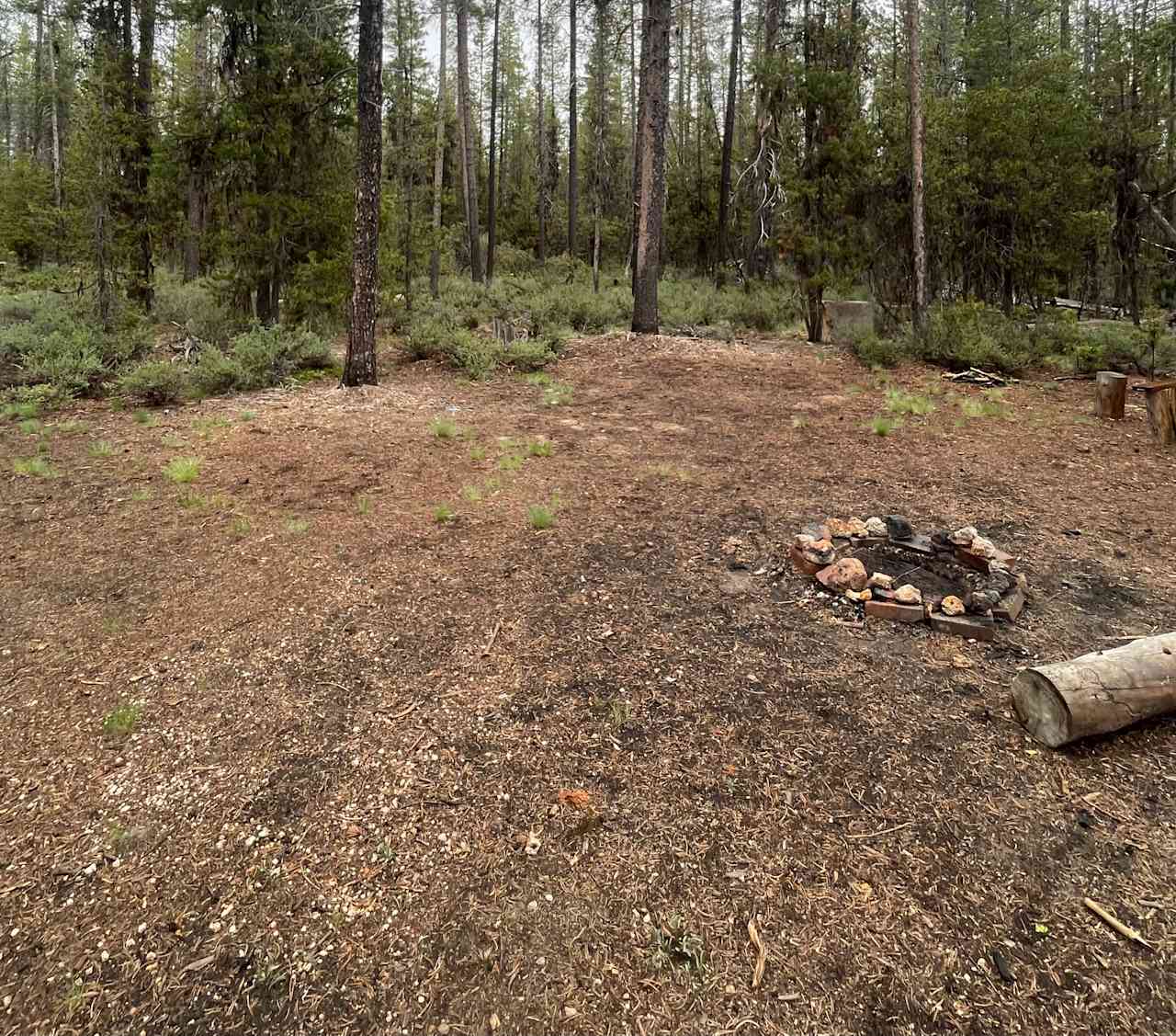 Mt. Scott Camping