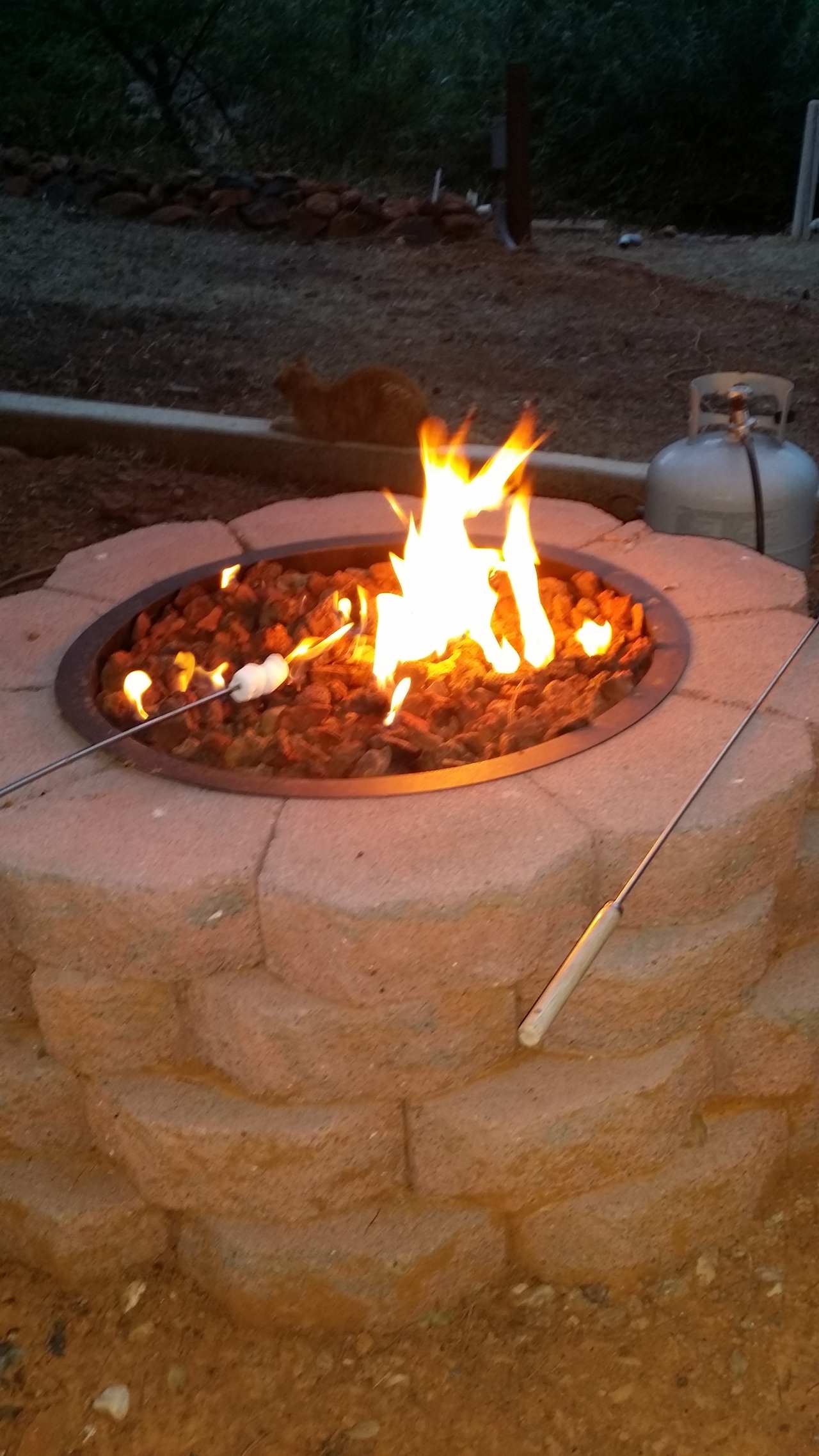 Golden Briar Camp
