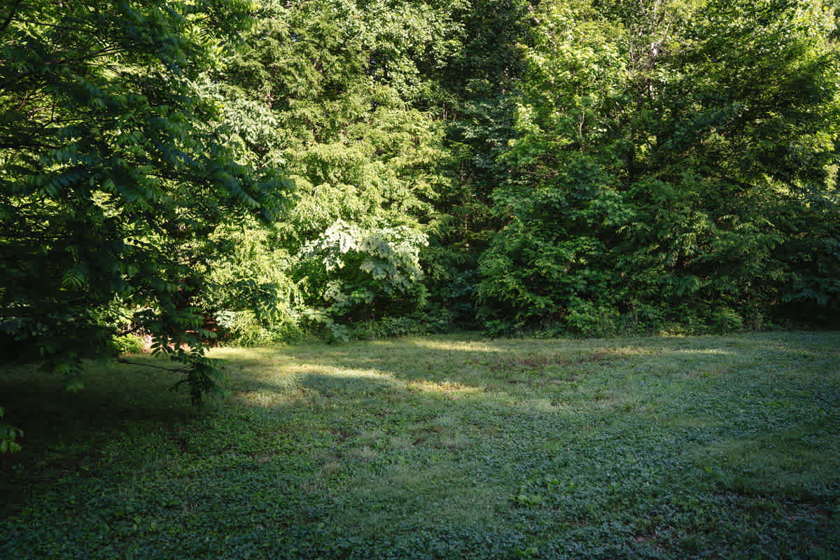 Open space to pitch a tent
