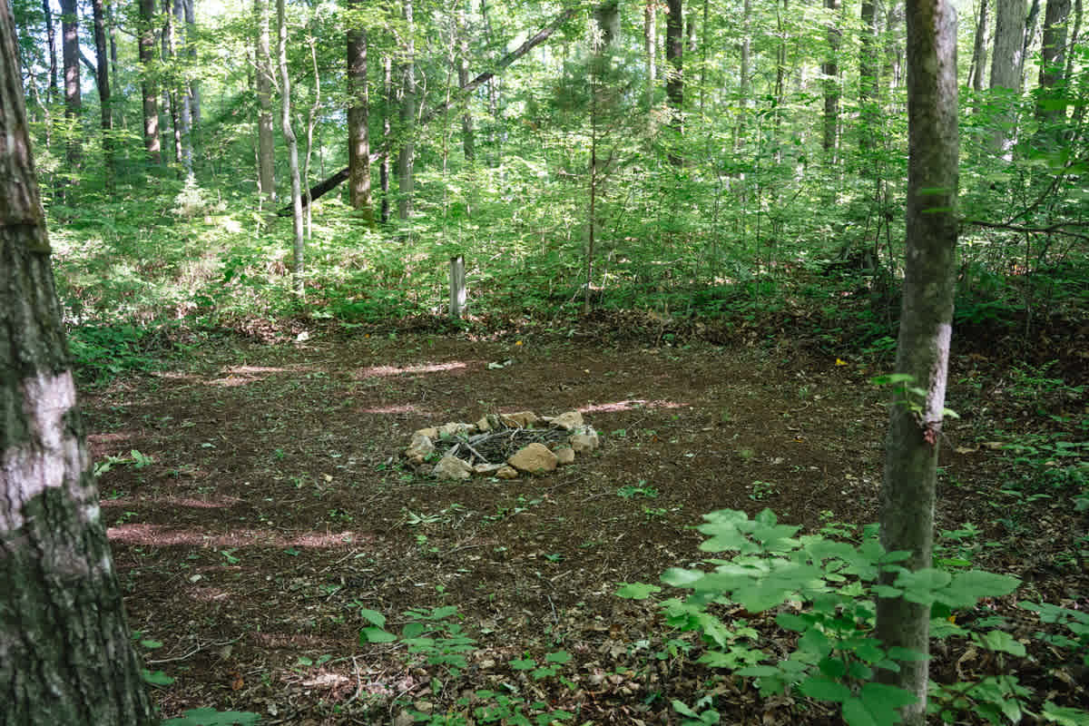 Secluded spot to pitch a tent with fire ring
