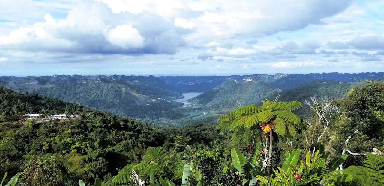 Rainforest Campground & Glamping