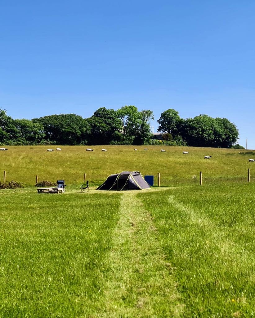 South Hoggs Hideaway