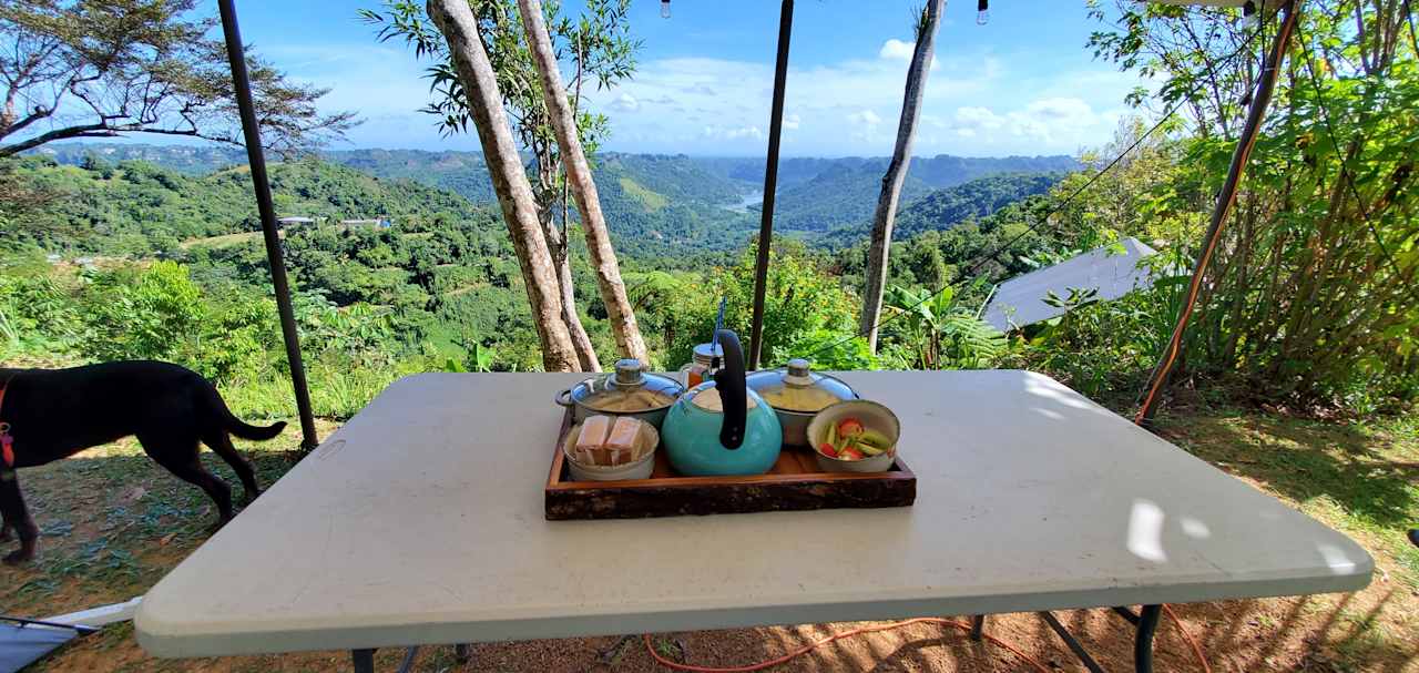 Rainforest Campground & Glamping