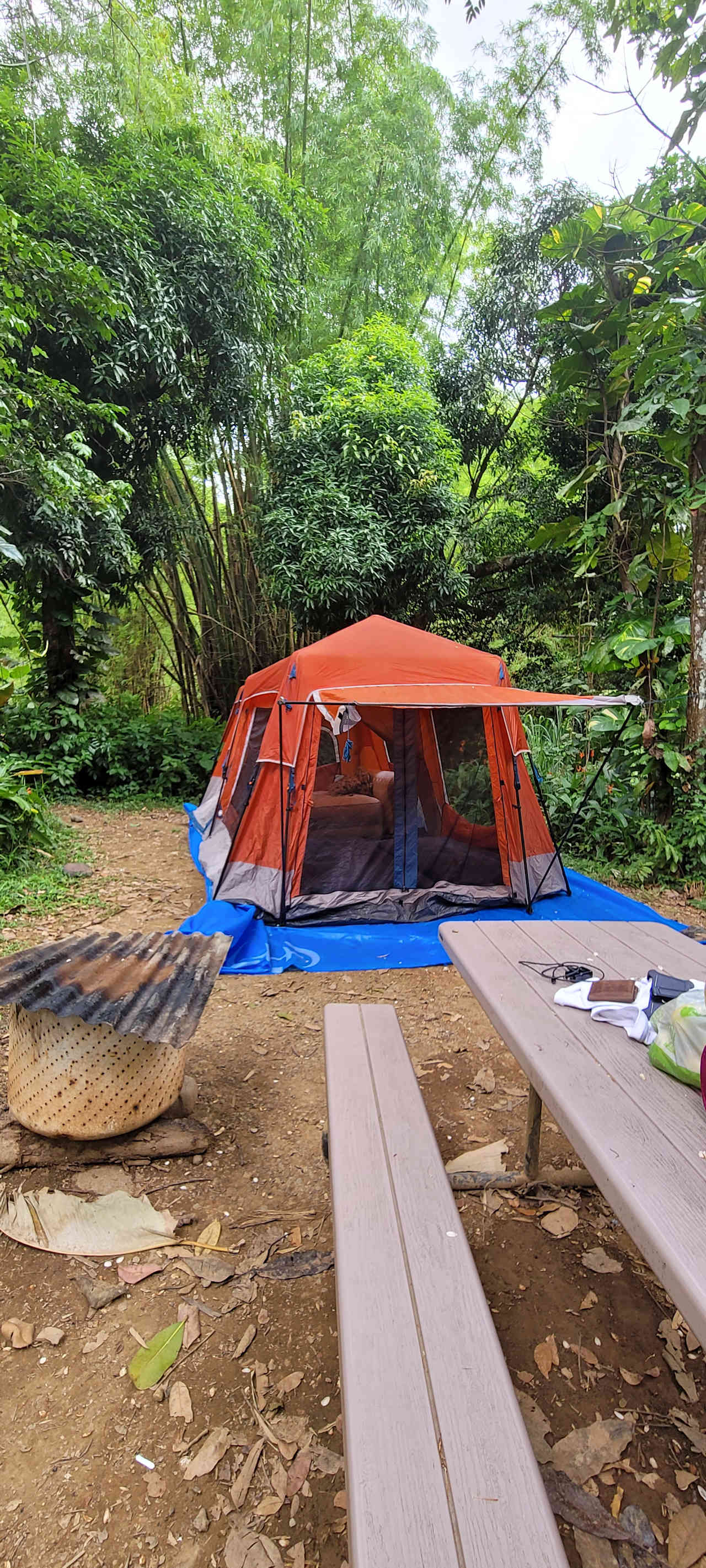 Hacienda Monte Rey near El Yunque
