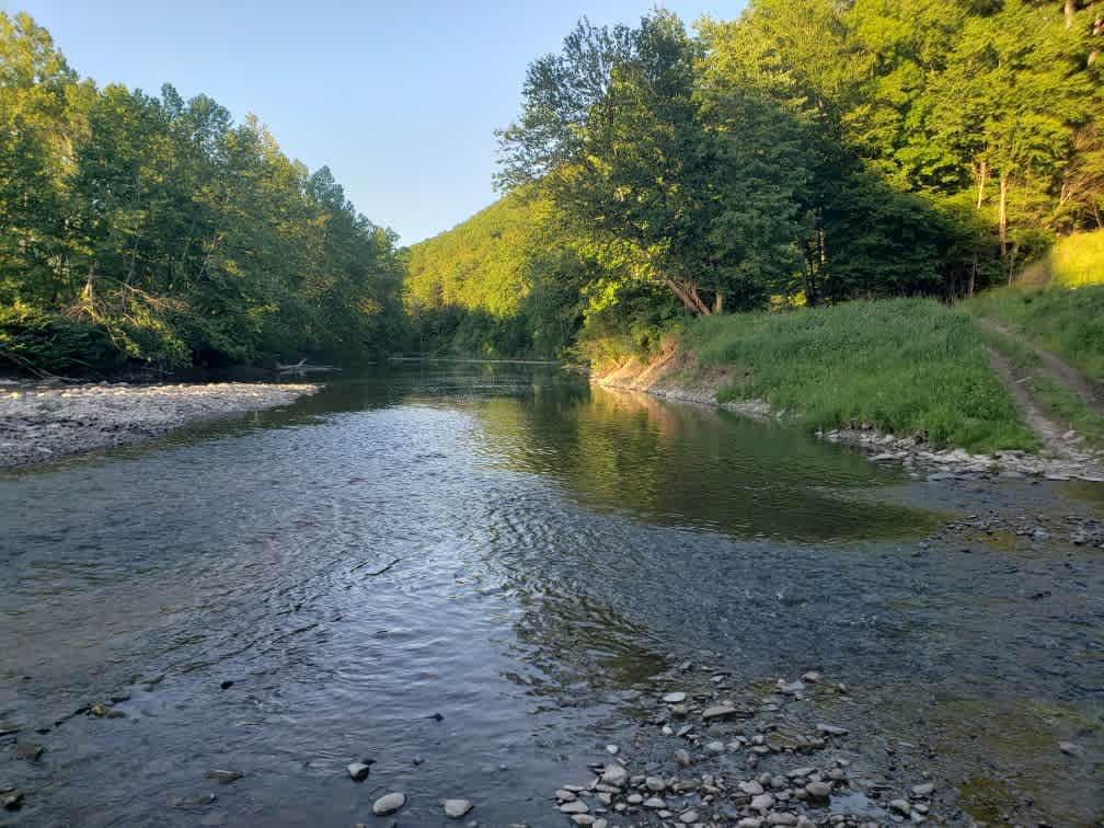 Downstream / Swimming Hole