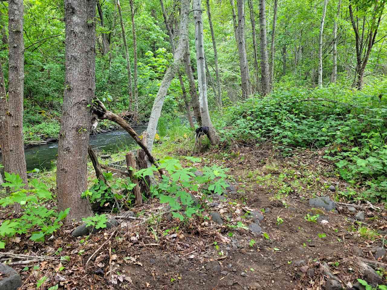 Mosier creek csmp