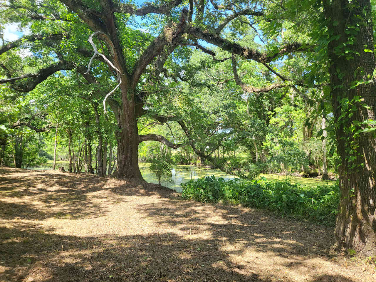 Opal Springs Nature Haven