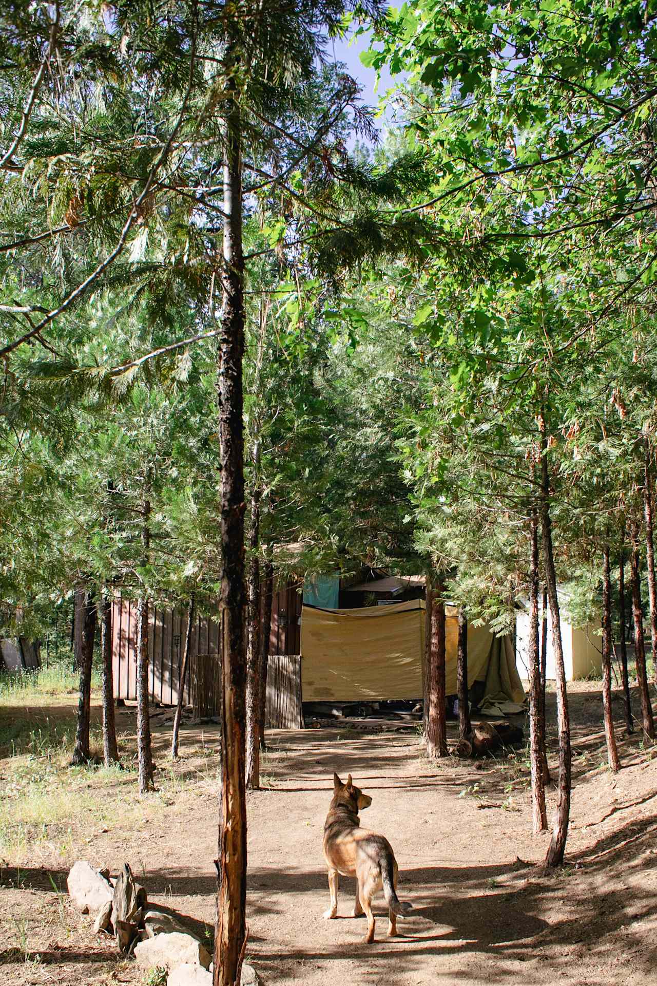 Path up to the showers and sink