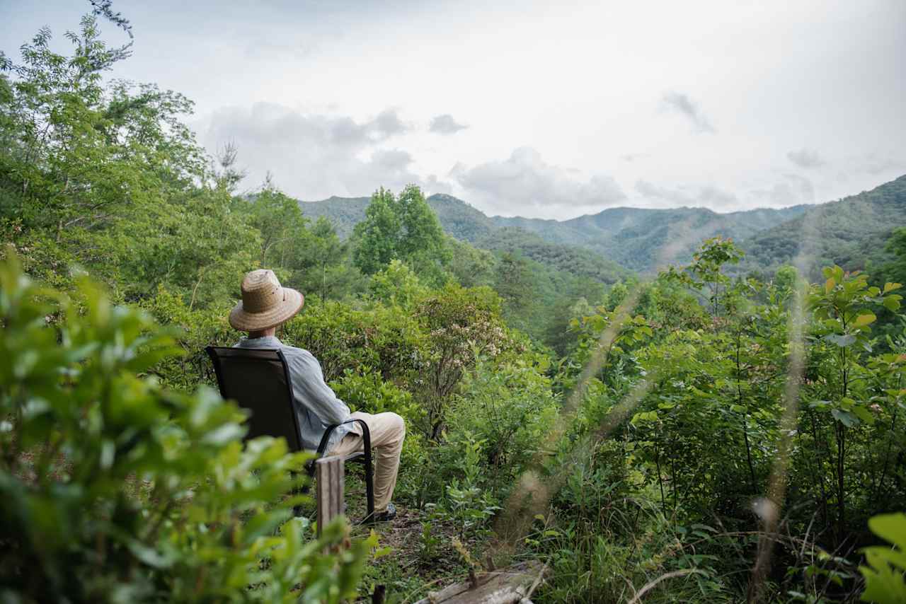 Martin's Nest Nantahala