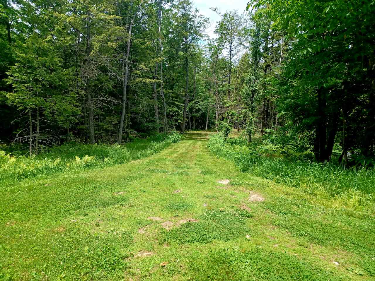 Lovedy's Land at Nubbin Corner.