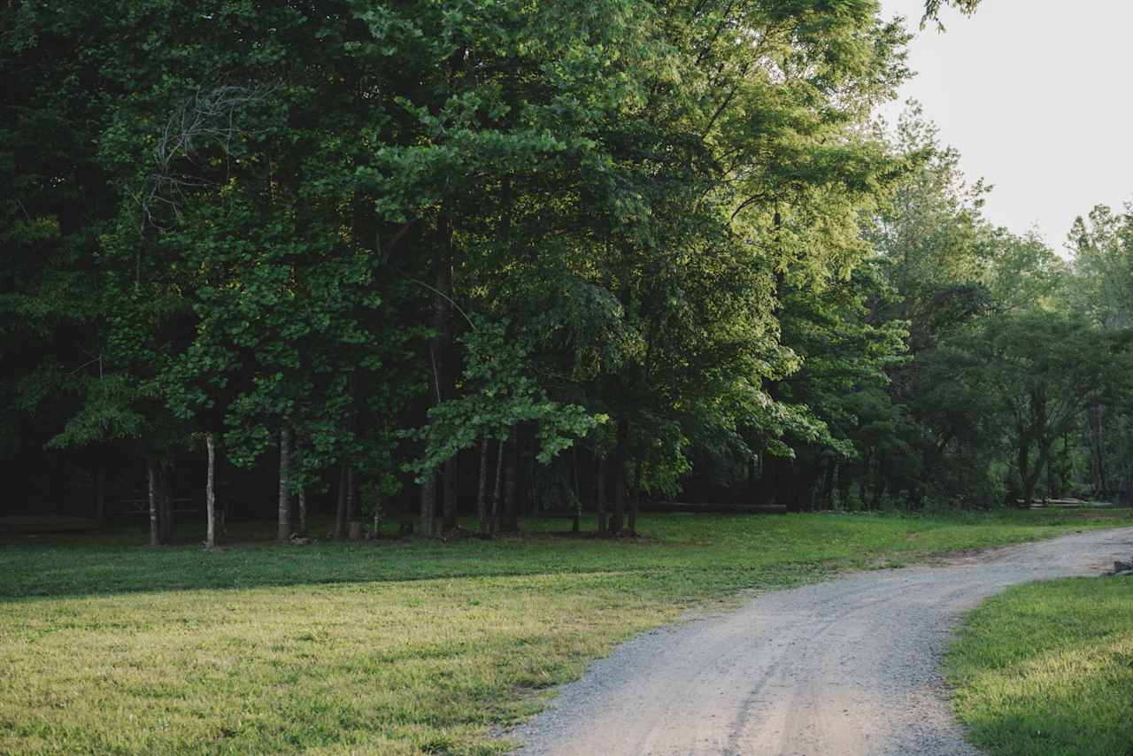 Linville Adventure Pasture (LAP)