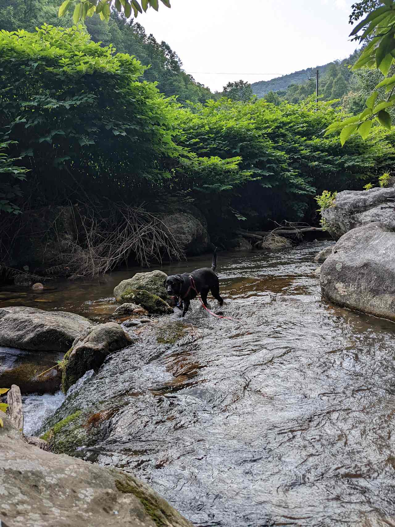 Rejuvenation River & Mtn Campsite