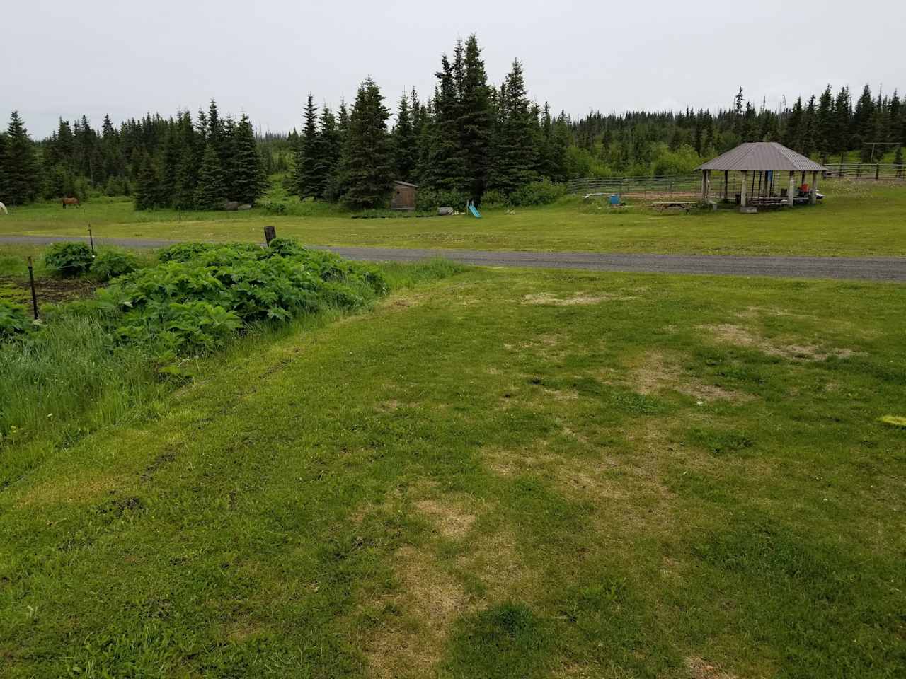 camping spaces are set up on a wide grassy area on the edge of the farm. 