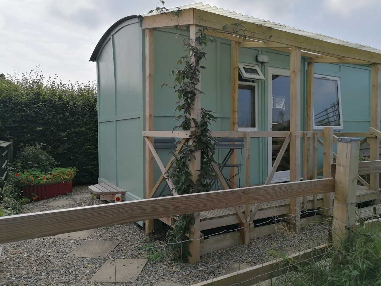 Clematis growing up Skylark Shepherds Hut veranda