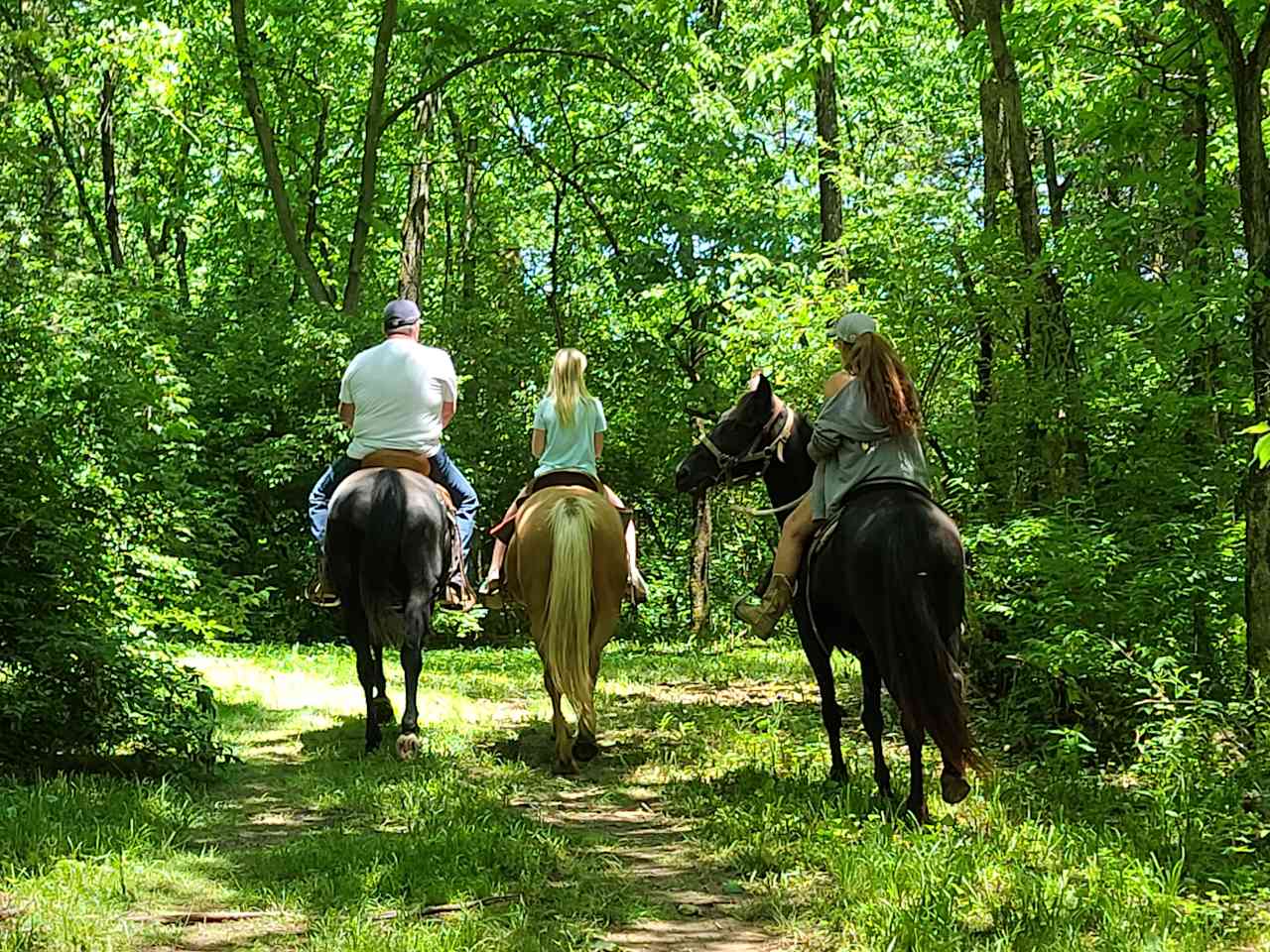 Queenslake - Classic KY Horse Farm