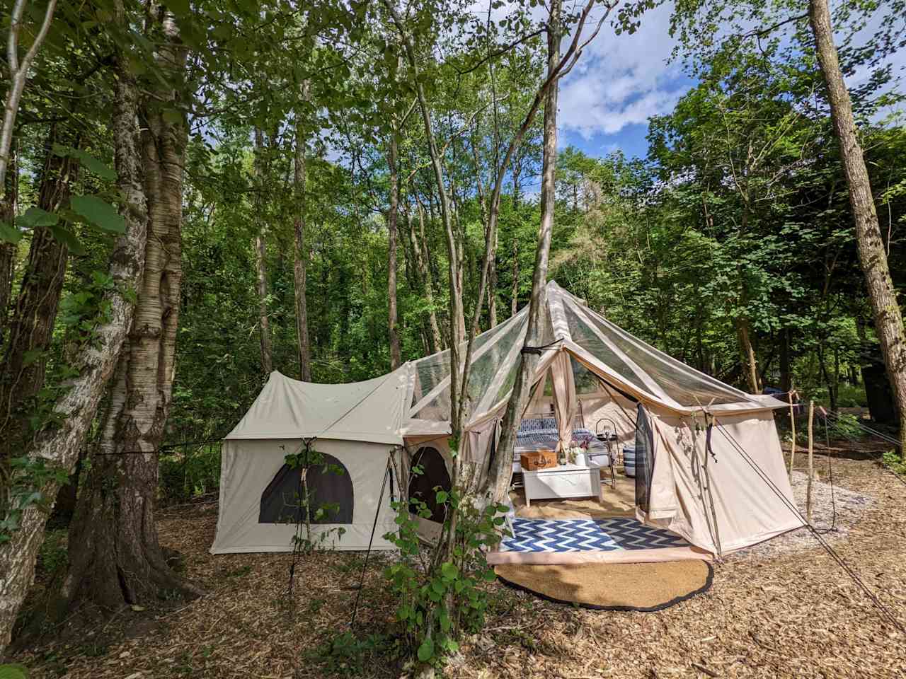 Wytch Wood Camping