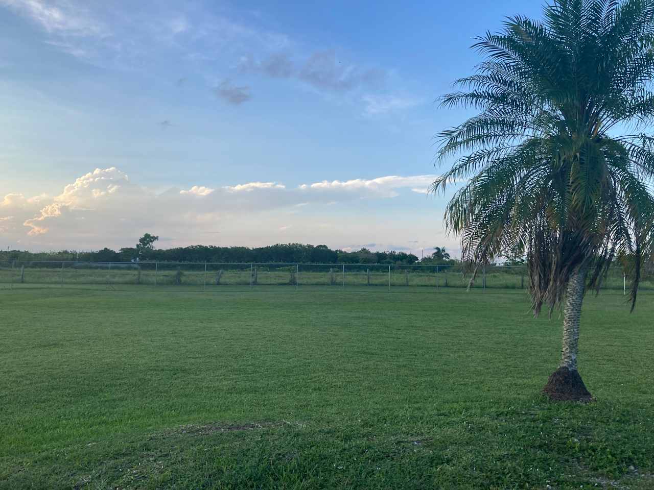 C and M Farm
