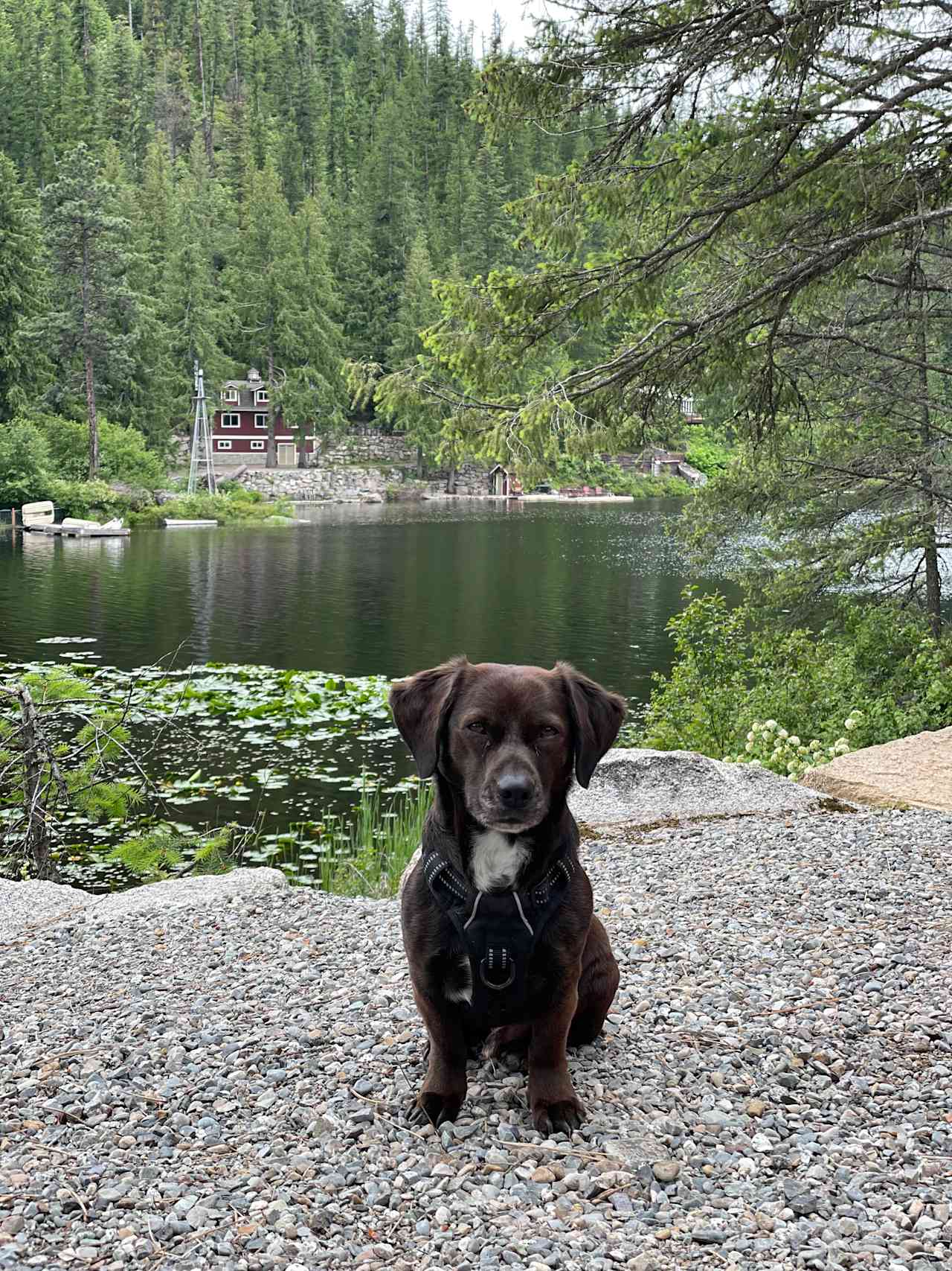 Beaver Bay