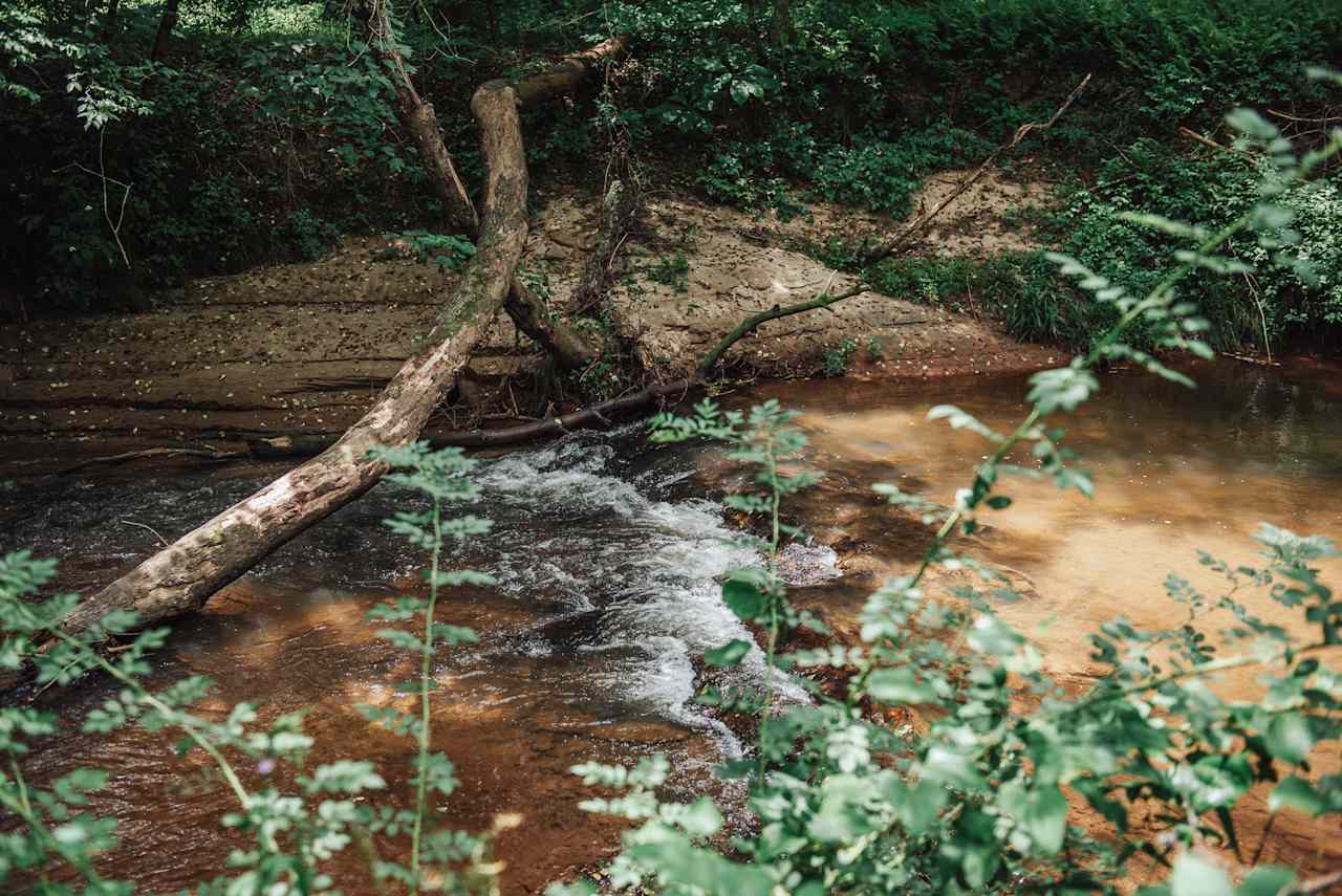 Secluded Mitchel River Camping