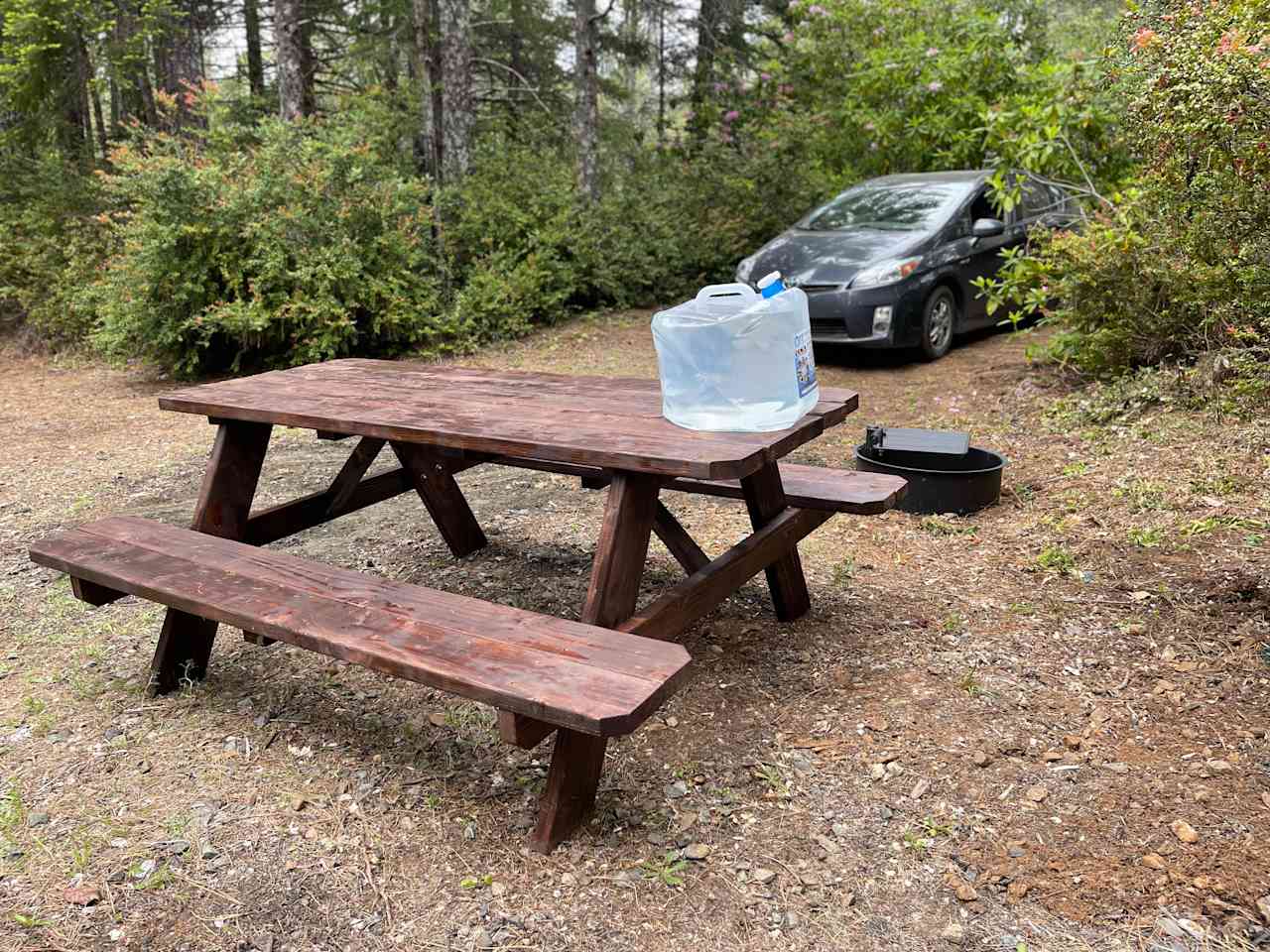Free Your Mind Camping