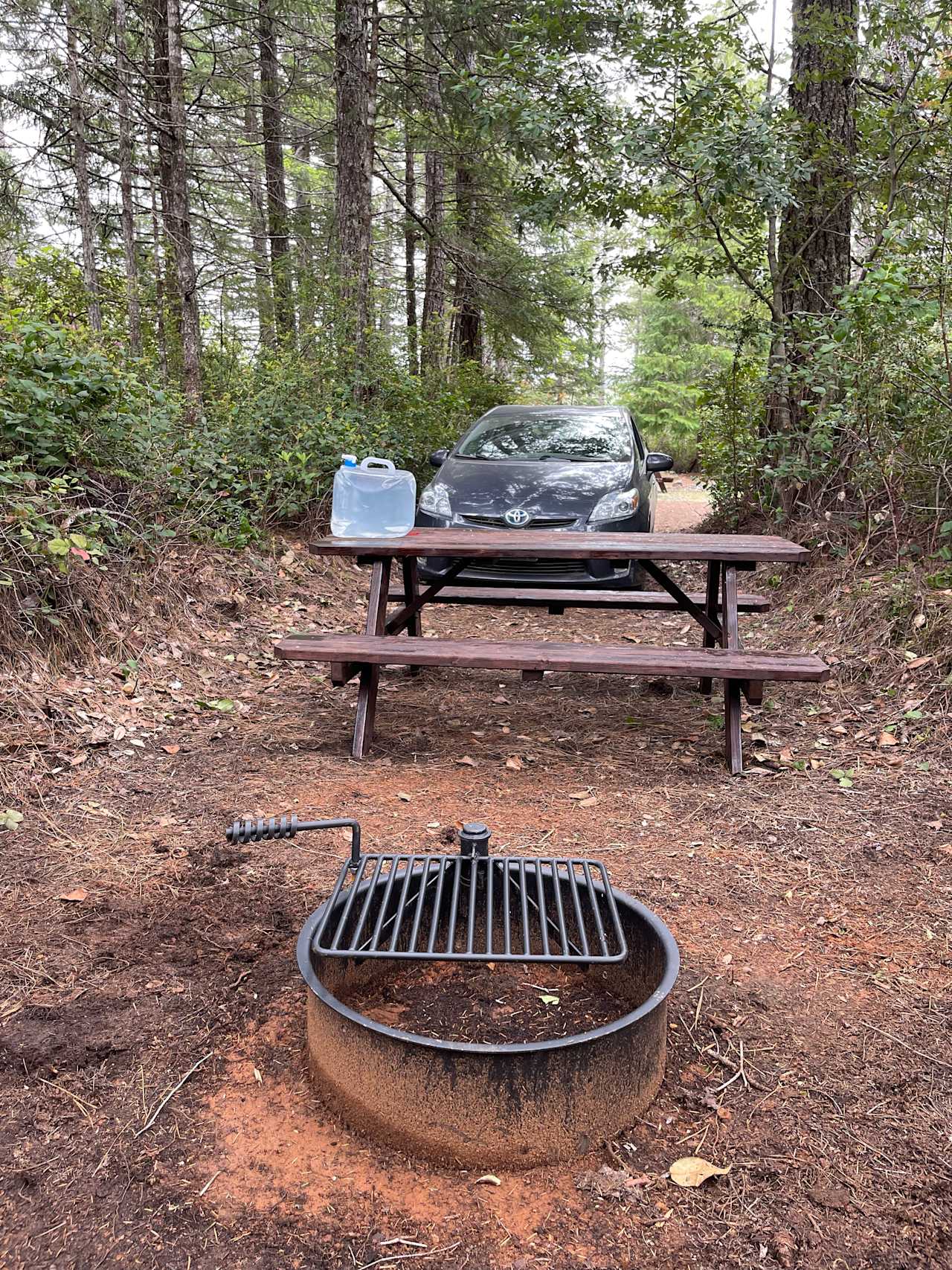 Picnic table, fire pit and water