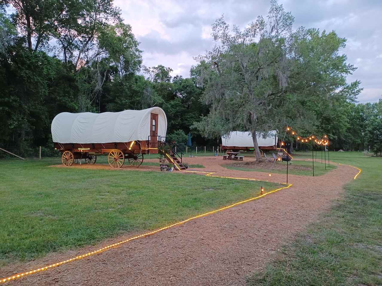 THE Farmstay for Animal Lovers!