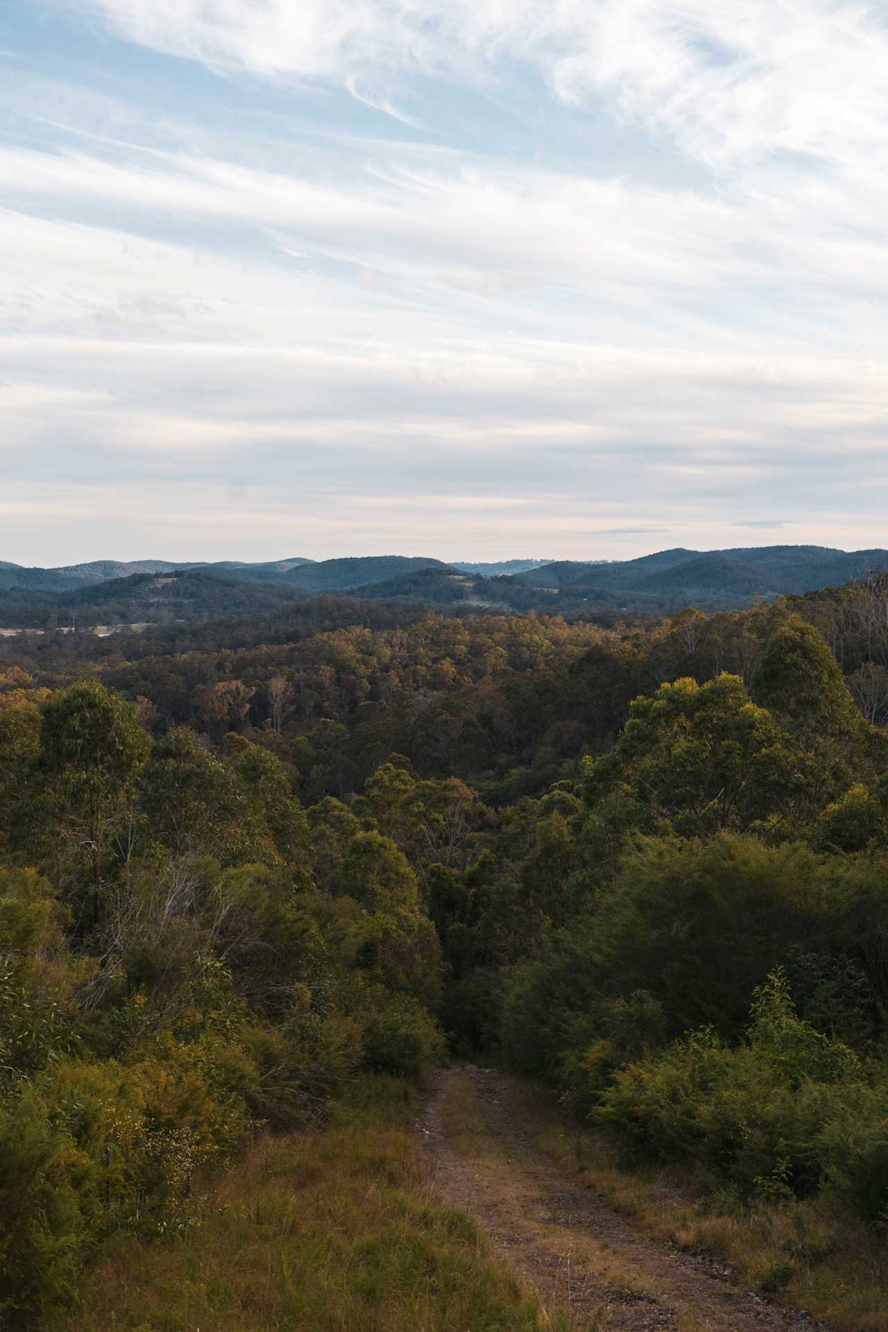 View from top of hill