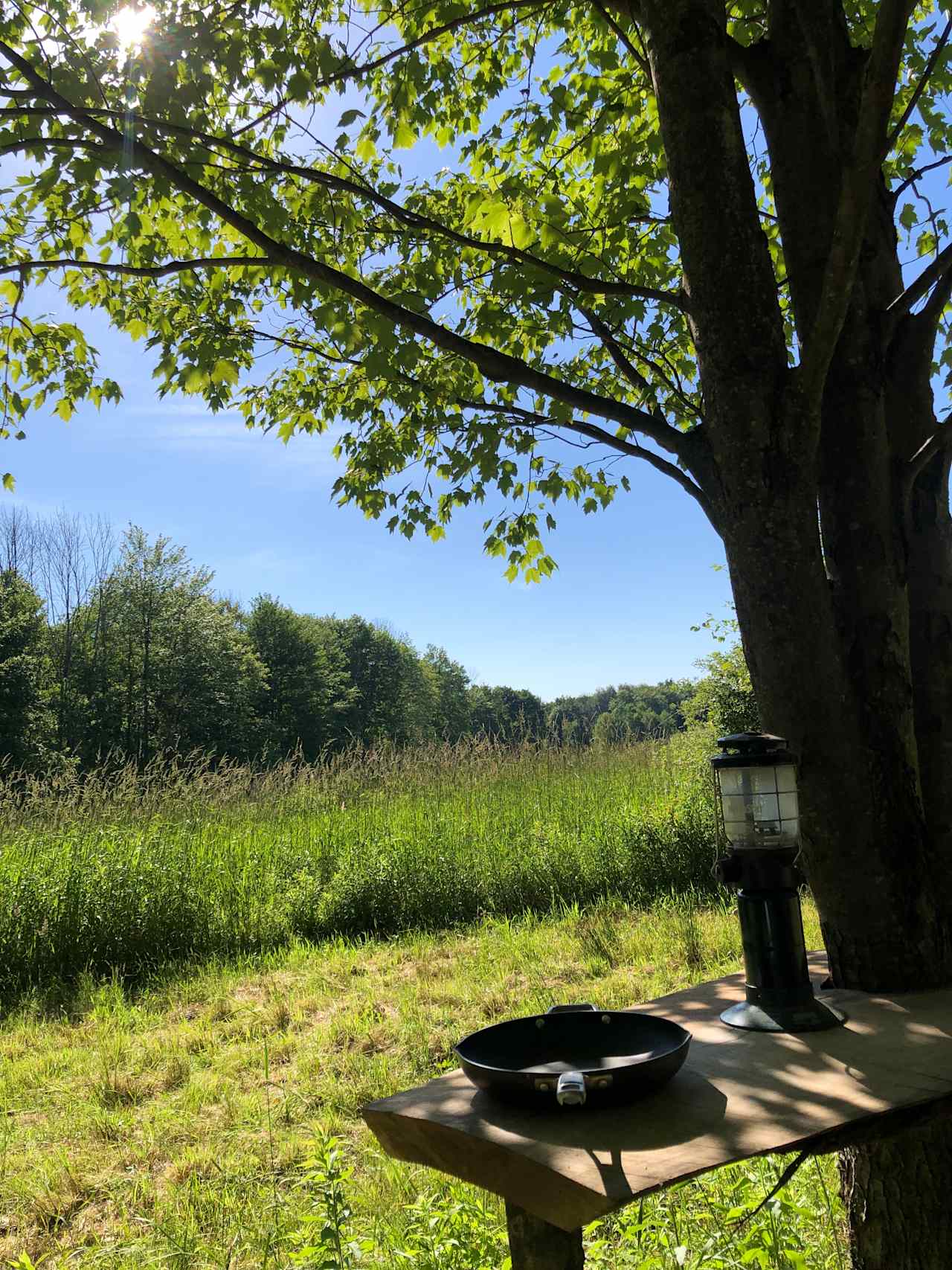 Big Sky Relaxation Station