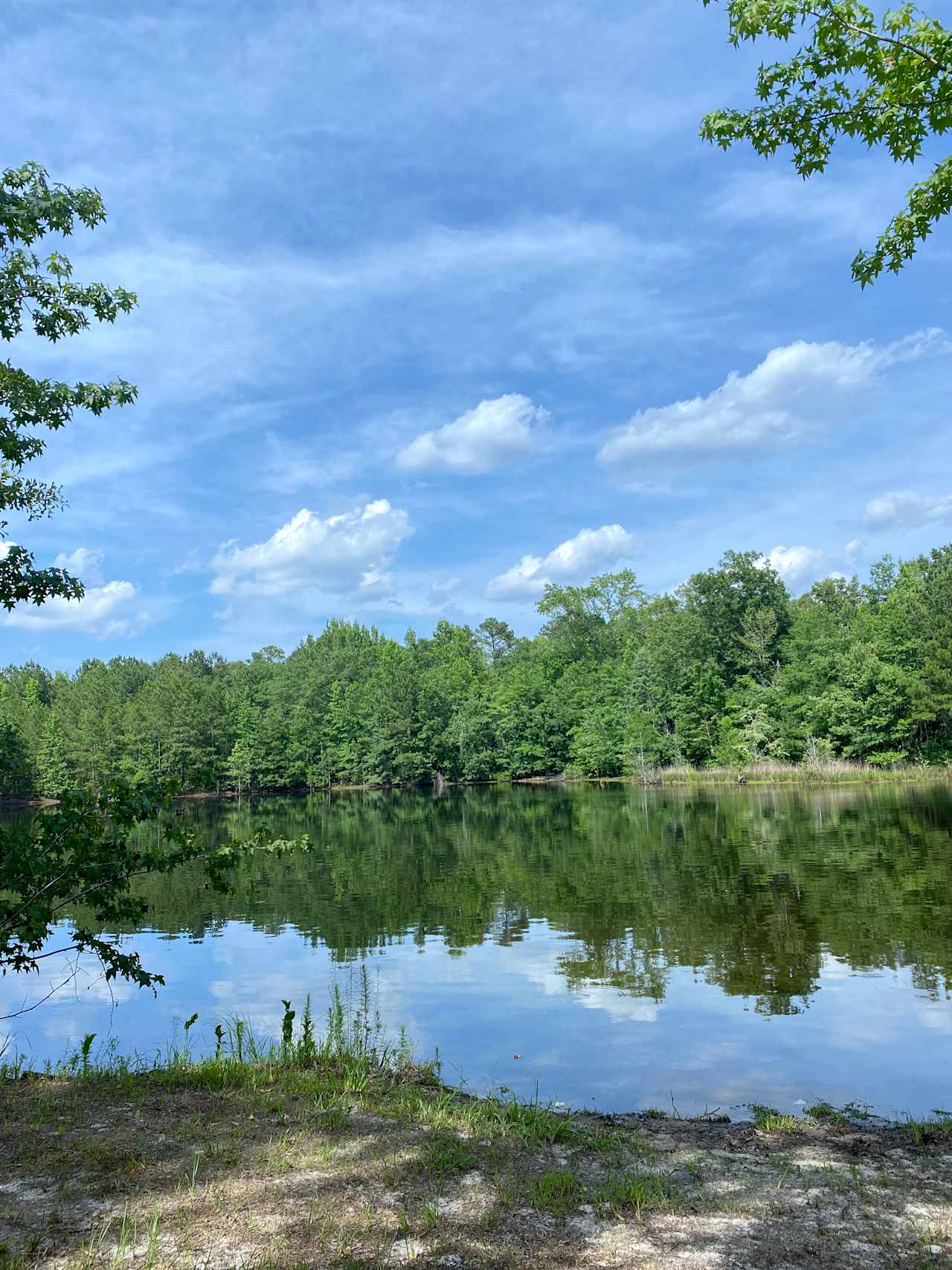 25 year old lake stocked with Channel Catfish 