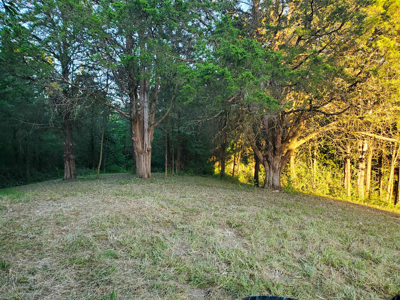 Turkey Hill Homestead