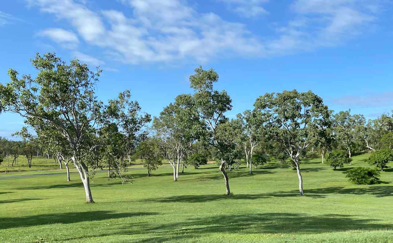 Grassy sites 