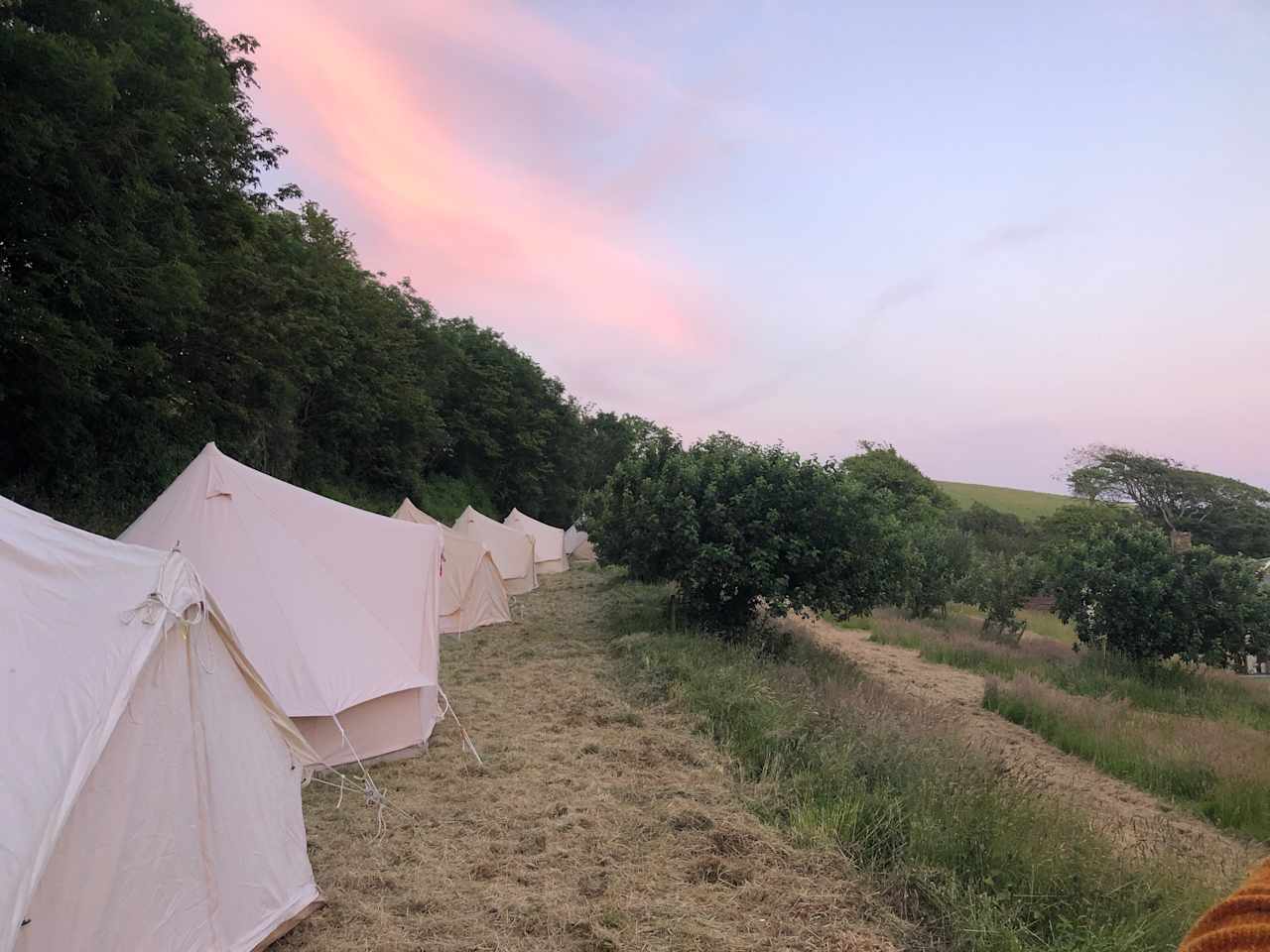 Swell Camping at The Orchard
